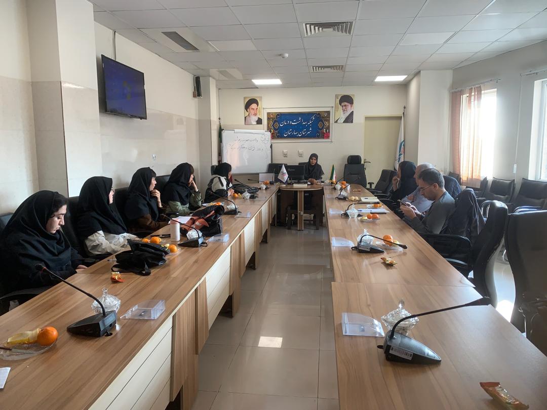 برگزاری جلسه آموزشی غربالگری شنوایی نوزادان شبکه بهداشت بهارستان